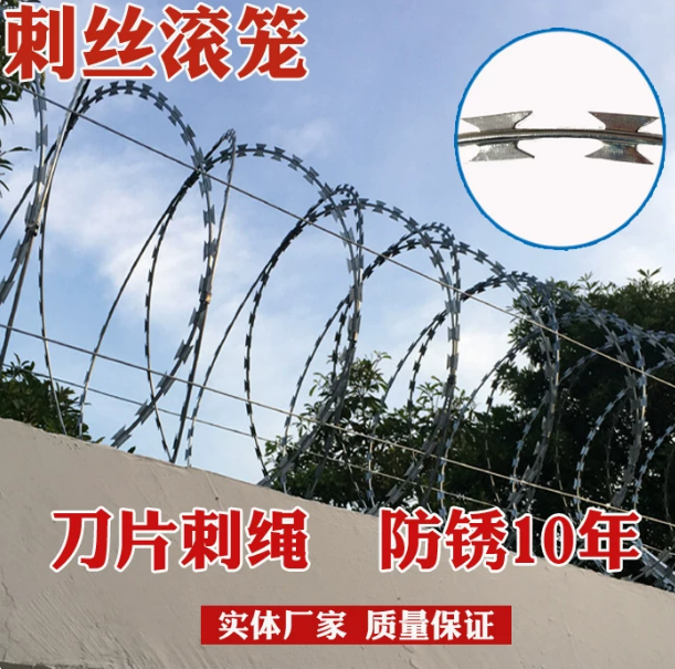 文章插图